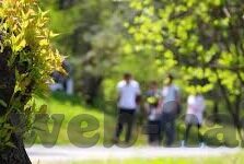 麻豆av一区二区天美传媒小说-麻豆 AV 浪漫资讯与内容甄别